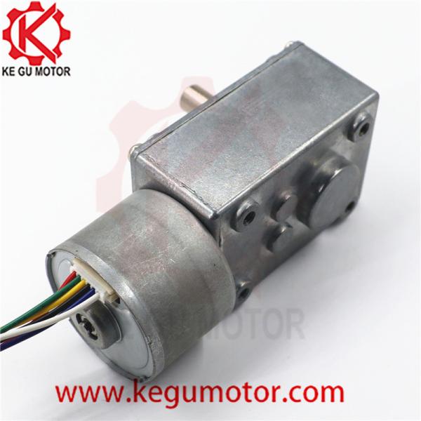 Quality High torque 24V 5300 rpm 40mm worm geabox motor reduction motor with good price bl3630i 9.0kg at load for sale