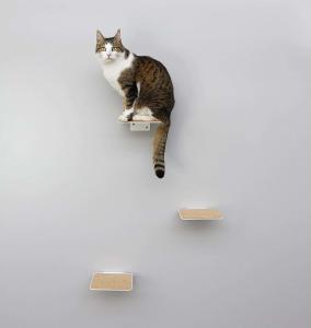 Offering Small Animals the Opportunity to Climb and Observe Black Powder Coated Design