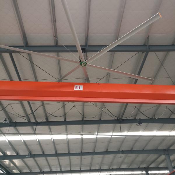 Quality Ceiling Fan for Large Industrial Ventilation Customization and Mounting Options for sale