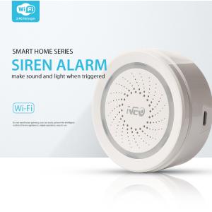 Sound And Light Alarm