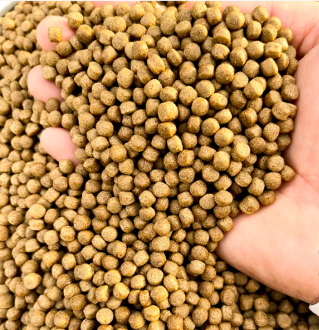 Customized Industrial Extruder Flat Dies For Optimal Performance And Cost Savings