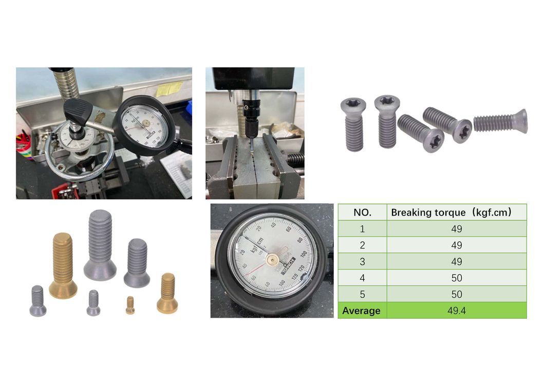 M1.6 M1.8 M2 M2.5 M3 M3.5 M4 M4.5 M5 M6 M8 Cutting Tool Screw Customized High Strength Screws for Cutting Tool Fasteners Insert and Indexable Mill Fasteners