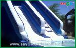 Huge Inflatable Water Slides Custom PVC Tarpaulin Mini Bouncer / Bouncer