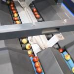 8 Channels Mechanical Jujubes Sorting Machine White 380V Fruit Grading Machine