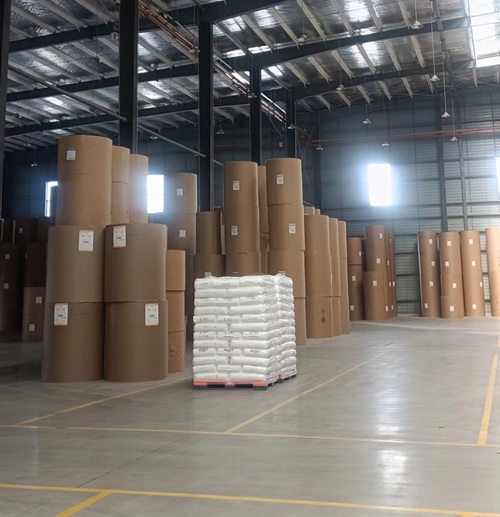 Double Sided Coated PE Coated Paper Roll High Quality Compostable