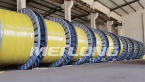 UNS S32750 Encapsulated Control Line Super Duplex 2507 Rilsan Nylon