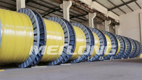 Quality UNS S32750 Encapsulated Control Line Super Duplex 2507 Rilsan Nylon for sale