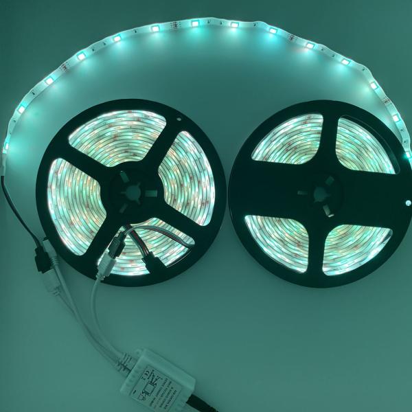 IP20 DC12V 10M RGB LED Strip Lights