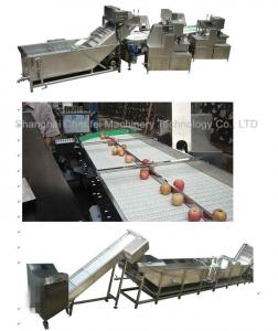 China Stainless Steel 304 Dried Fruit Processing Equipment ISO9001 Certification on sale