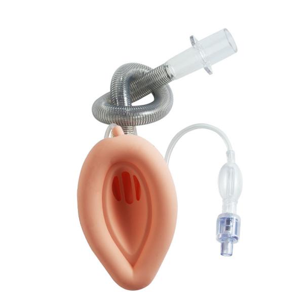 Quality Reusage Reinforced LMA Laryngeal Mask Airway for sale