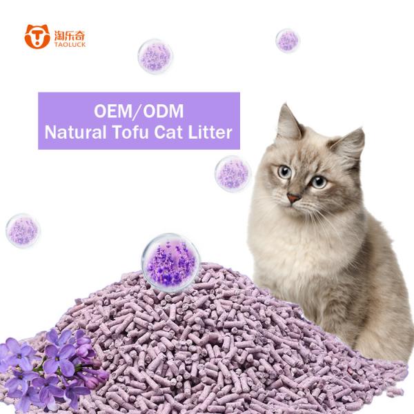 Quality Fast Clumping Tofu Cat Litter Without Dust Purple Odor Eliminating Cat Litter for sale