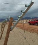 Vertical Grape Trellis Vineyard Fence Posts With Different Surface Treatment