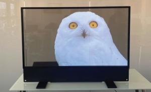 customized Ultra Thin OLED Transparent Display For indoor Advertising