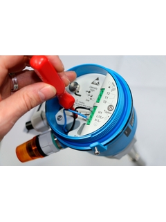 3" Point Level Switch Soliswitch FTE20 Rotary Paddle Switch FTE20-BI13AA11