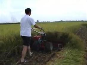 China Small Rice Harvest Machine/Reaper Binder Machine for Wheat and Rice/Wheat And Paddy Reaper on sale