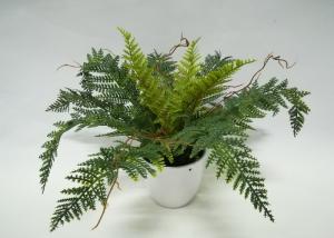 Buy cheap 28cm Tabletop Artificial Fern Bonsai With 4 Inch White Pot product