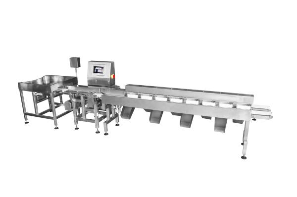 Quality High Speed Accuracy 200 pcs/min Weight Grader Machine For Abalone Fish for sale