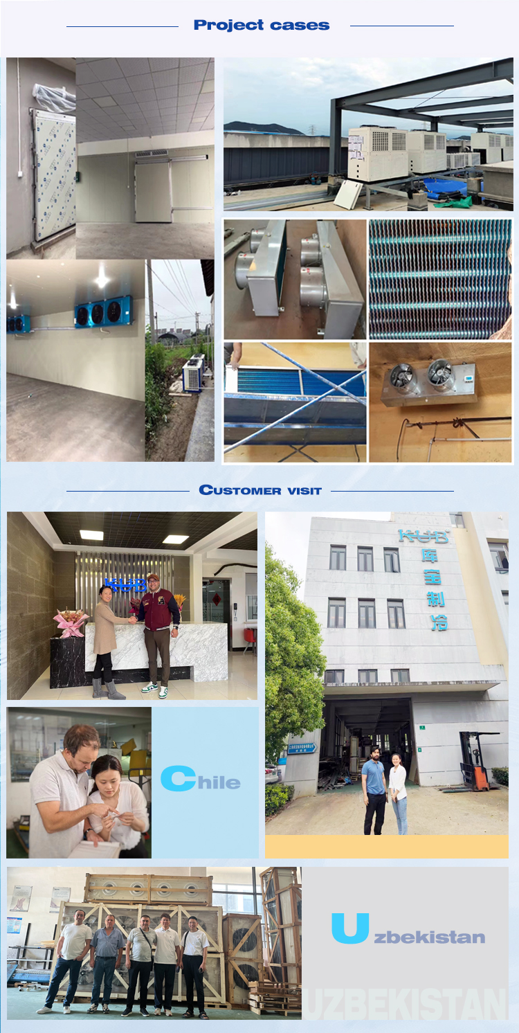 DD12  Hydrophilic aluminum fin air cooler evaporator coil with hinges Evaporator with expansion valve evaporator for cold room