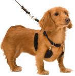 Easy Step In No Choke Dog Training Collars Halter With Detachable Restraints