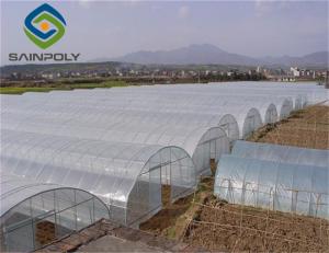 China 275g/m2 100m Plastic Gutter Single Span Greenhouse on sale