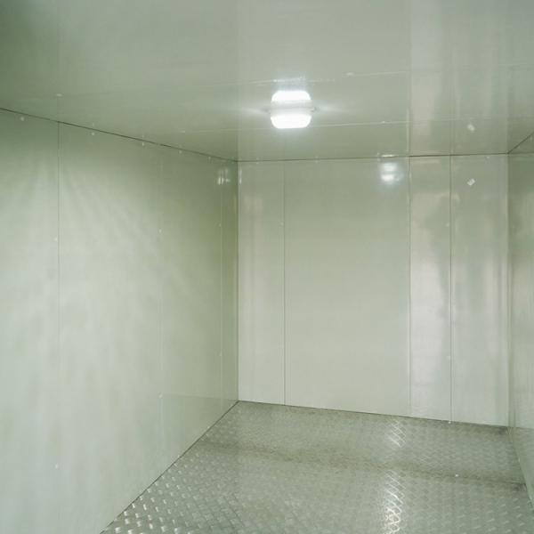 R134a/R404A Refrigerant 12m Length 60 cbm 40ft Refrigerated Reefer Container Cold Room Storage Durable Aluminum T-Bar Floor