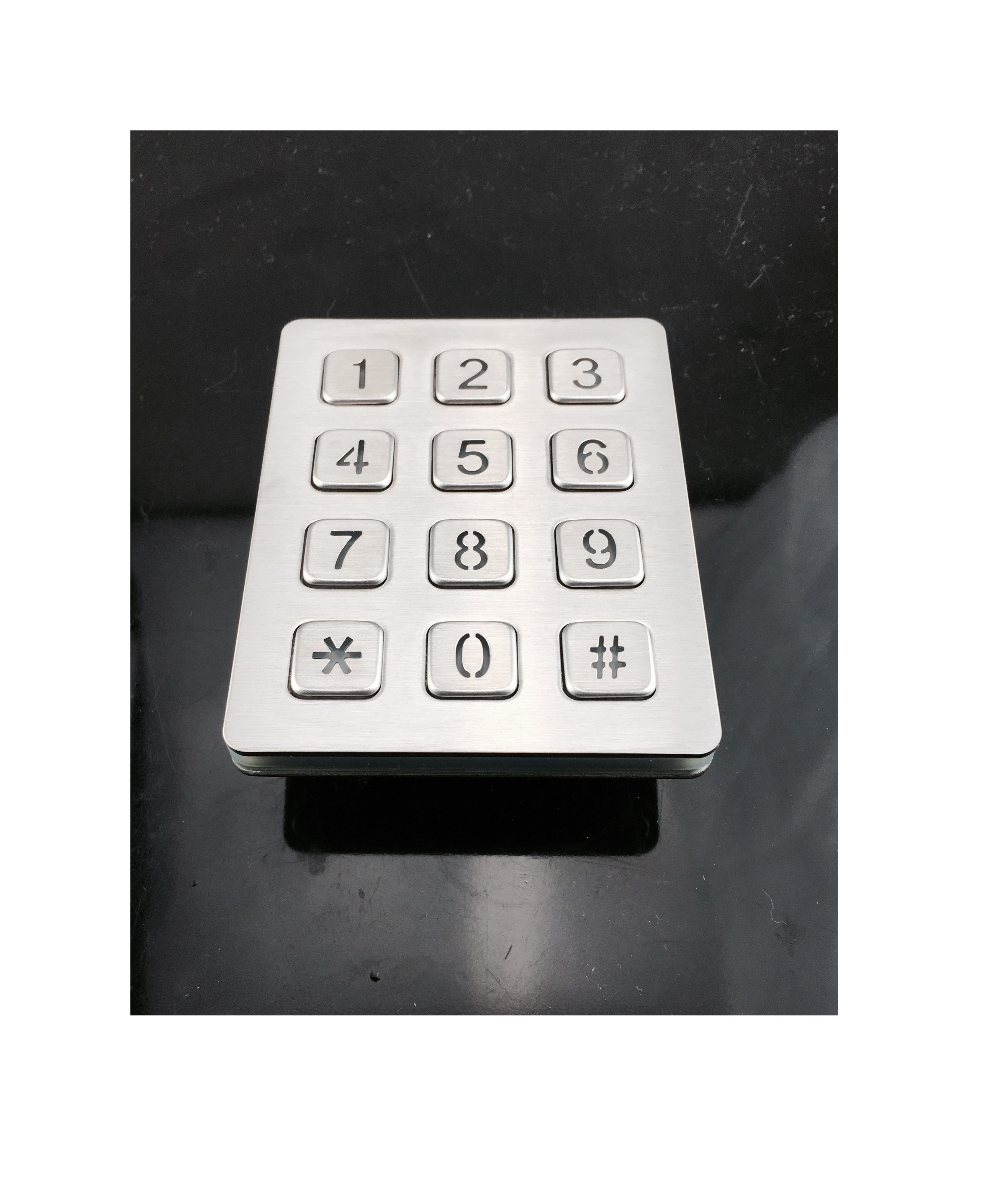 Panel mounted digital keypad for telephone entry system