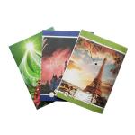 680mm 5 Sheets Exercise Book Machine With 10 Stitching Heads