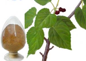 Buy cheap Morus Alba L. Extract Powder Mulberry Leaf Extract Powder Deoxynojirimycin product