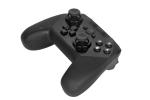 Switch Console PC Joystick Controller Black Hard Video Game Accessory Six Axis