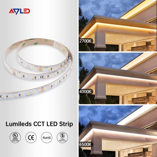 CCT Tunable Adjustable Led Strip Light WW CW Led Streifen Farbwechsel Dmmbar