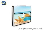 3D Lenticular Picture Expanding File Folders , Presentation Folder Printing
