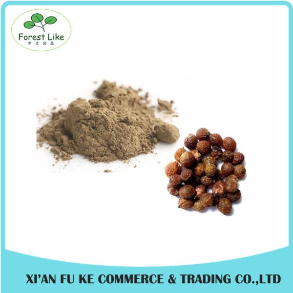 Quality High Quality Reetha / Soapnut Extract Powder for sale