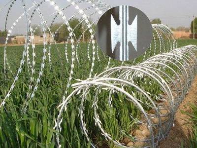BTO-22 razor wire