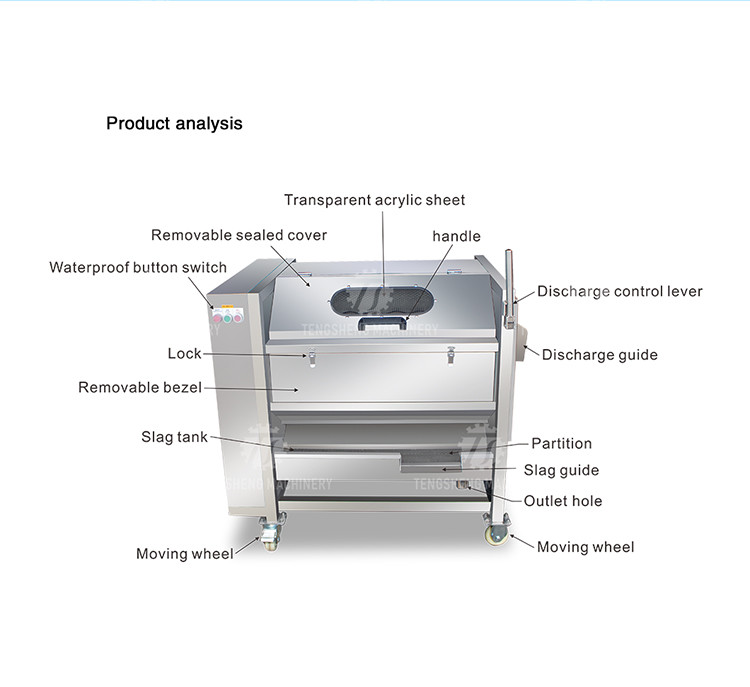 180KG Small automatic ginger washing machine potato cleaning and peeling machine ginger cleaning and mud removal machine