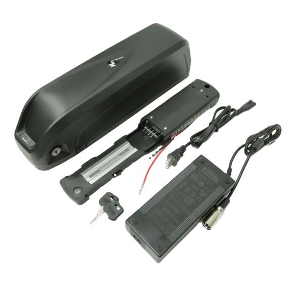 Quality Portable 1000w 48V 20Ah Lithium Ion Battery For Electric Bike for sale