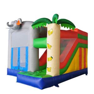 Small Bouncy Castle With Slide PVC Material Digital Printed Waterproof