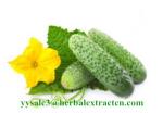 Cucumber Extract Enhance immunity, delaying aging Chinese Manufacturer Yongyuan