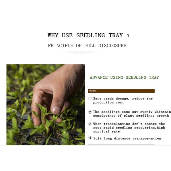 105 Holes Rectangular Polystyrene Seed Raising Tray Deep Cell Plug Trays 540X280mm