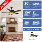 Low Noise Energy Saving Classical 5 Blades Ceiling Fan Engineering Model For