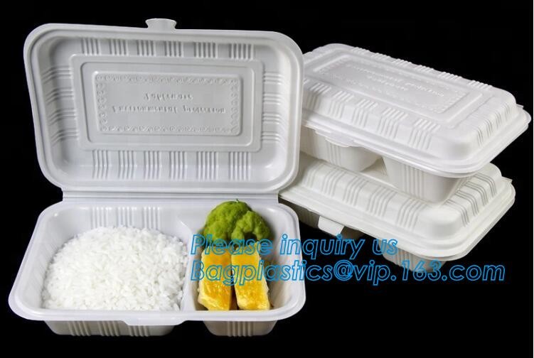 Blister large clear plastic fruit container with lid for fruit packaging,blister fruit box /container/ fruit Tray/ Clear