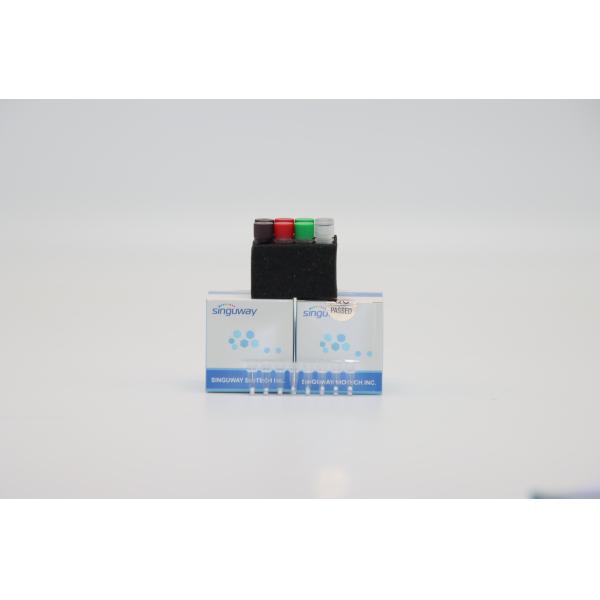 Singuway Coronavirus Fast RT PCR Test Kit O N E Gene Detection Fluorescence Probe