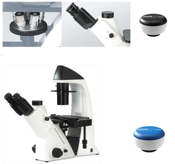 Inverted Stand Trinocular Biological Microscope , Trinocular Inverted Microscope