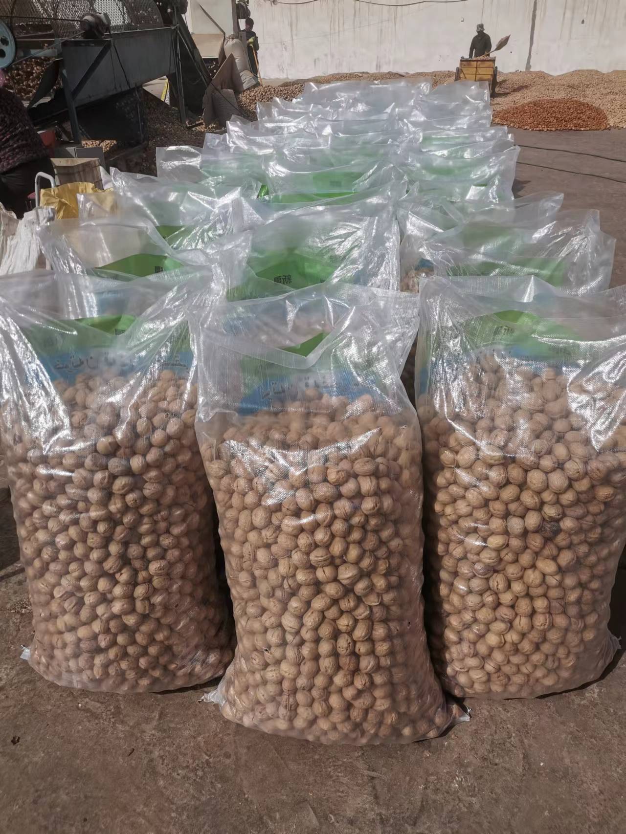 China Factory New Product Walnut With Cheaper Price and High Quality
