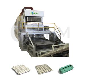 China Paper Pulp Egg Tray Equipment Automatic Egg Tray Moulding Machine on sale