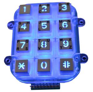Small Die Casting Metal Keypad Dot Matrix With 12 Keys , Blacklight