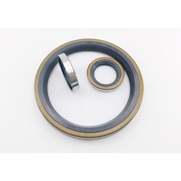 Wear Resistance SB Type Oil Seals Hydraulic Pump Oil Seal Metal Skeleton Oil Seal