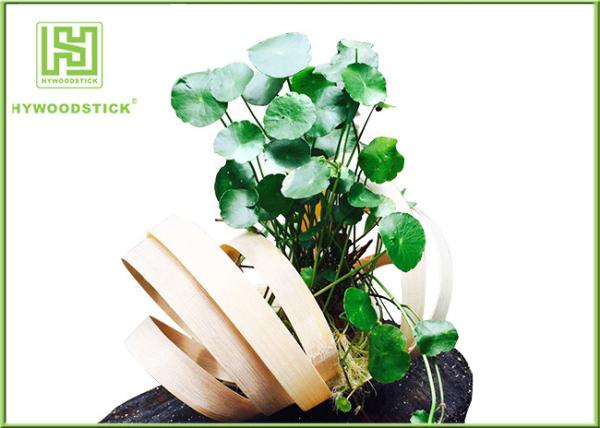 Quality Unique Bamboo Plant Pot Hanging Flower Box , Bamboo Flower Containers Customized Handle for sale