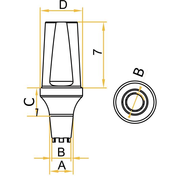 Dentsply Ankylos® Titanium Angled Abutment 15°/25° Degree
