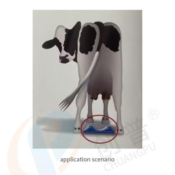 Milking Parlor Cow Milking Limiter for Controlling the Milking Process and Ensuring Proper Milking Pocedures