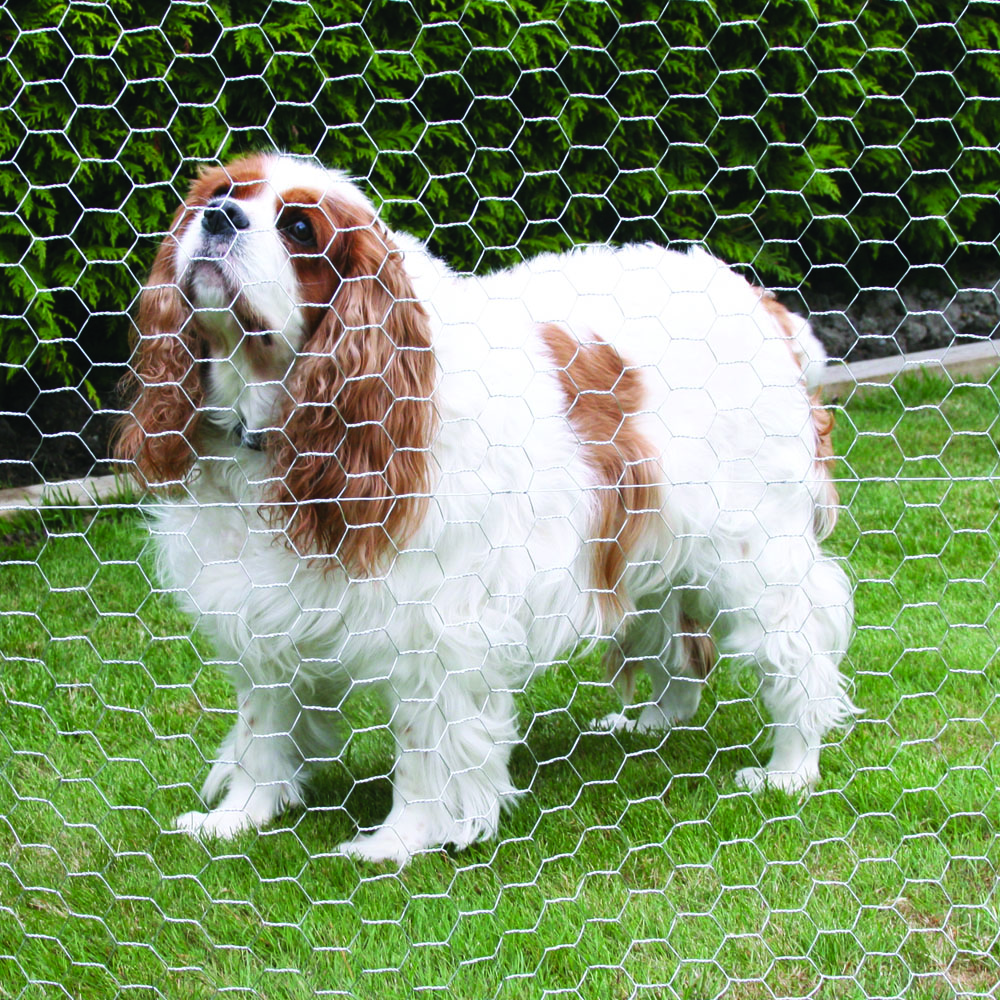 Green Color Double Twisted Pvc Coated Hexagonal Wire Mesh Galvanized Chicken Wire Mesh For Farm Fence